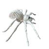 Bat Home Mouse Halloween Decoration Animal Skeleton Plastic  Bones Artificial skull Trick Props