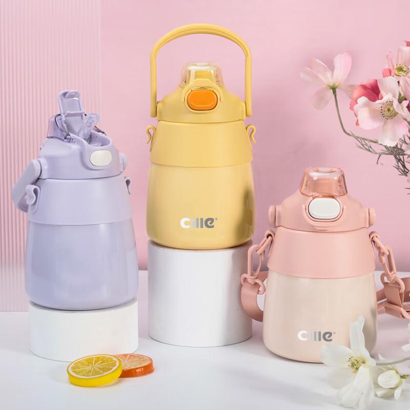 Cille Dual-Drink 900ml Insulated Water Bottle
