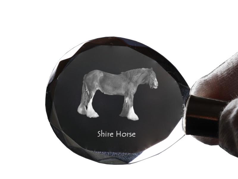 Shire Horse – Pendant with a picture of a horse, crystal key ring in a gift box | Art-Dog
