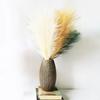 2 шт., искусственная пампасная трава, изысканный макет, реквизит, искусственный шелковый цветок, пушистое искусственное растение без полива, для рабочего стола
