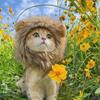 Funny Pets Clothes Cap Cute Cat Wig Lion Mane Costume Cosplay Kitten Dog Hat with Ears Fancy Party Supplies