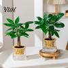 Small Plant Nursery Pot Self Watering Planter for Indoor Plants, Transparent Hydroponic Planter, Decorative Flower Flowerpot with Wick Rope