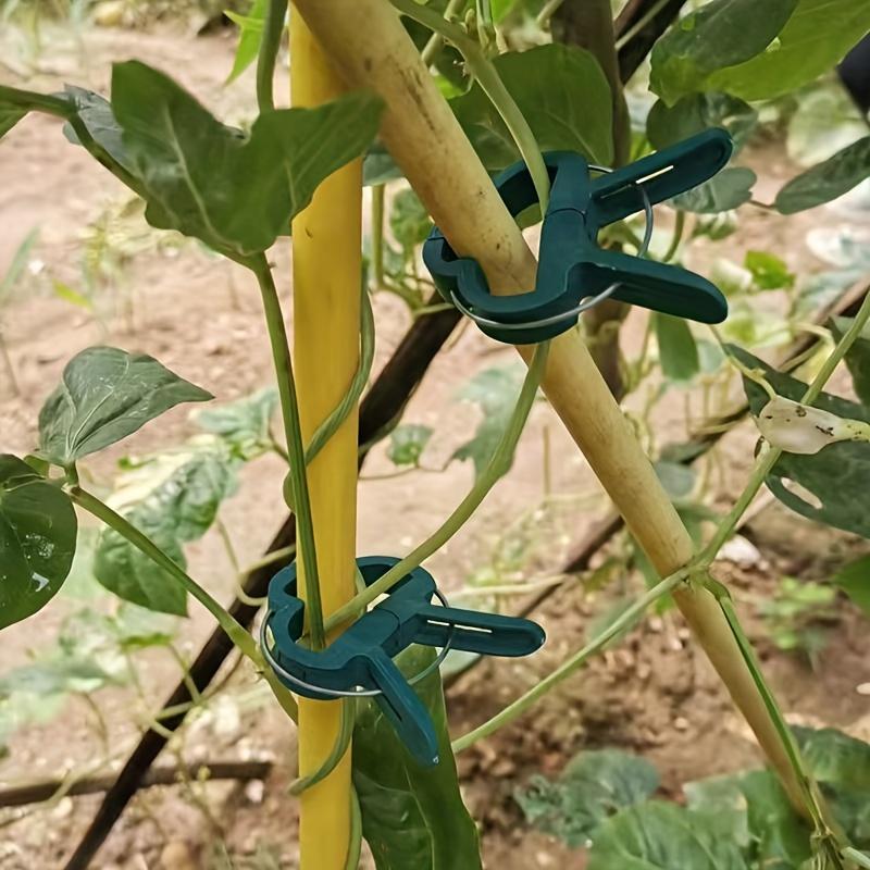 20 шт. регулируемых зажимов для растений - многоразовая садовая опора для цветов, виноградной лозы, овощей и томатов - прочный пластик, основные садовые инструменты