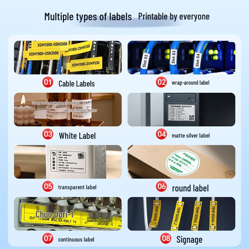 SUPVAN MP50 Portable Bluetooth Label Maker CN plug (adapter included)