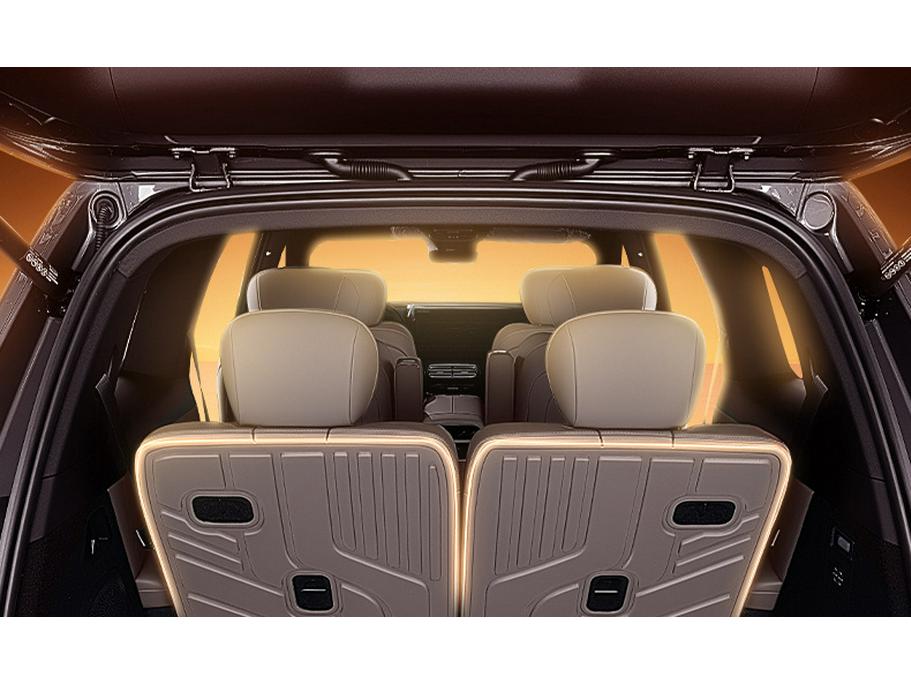Zhiji LS9 TPE26 Коврик в багажник и аксессуары для пола автомобиля