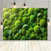 2D Moss Ball Monstera Fern Green Plant Wall Photography Backdrop Jungle Background Banner