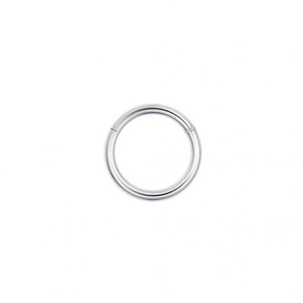 Stainless Steel Nose Ring Lip Ear Cartilage Body Piercing Septum Hoop Jewelry MIT