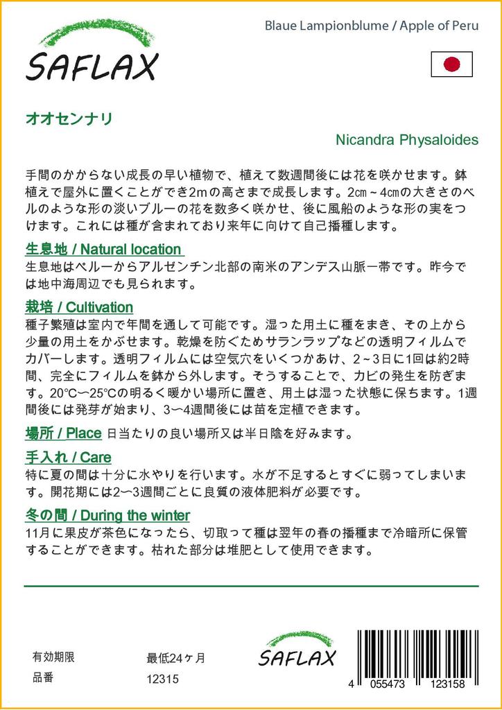 SAFLAX Яблоко Перу - 100 семян - Nicandra physaloides