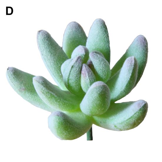 1шт пластиковые поддельные искусственные суккуленты растение бонсай сад домашний офис декор