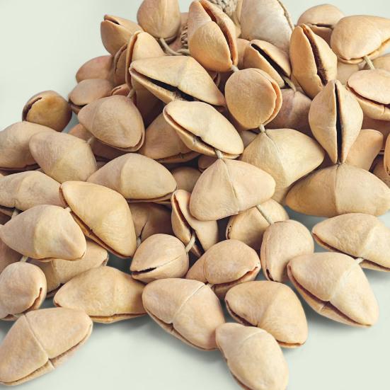 Браслет-погремушка из семян качо, браслет на ногу, африканский шейкер, браслет из скорлупы ореха, натуральные ударные музыкальные инструменты