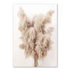 Nature Scenery Wall Art Poster and Prints Beige Bunny Tail Grass Reed Flower Leaf Canvas Painting Pictures for Living Room Decor