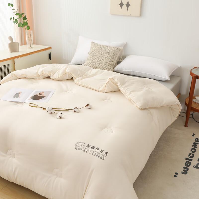 Qixiai Washed Cotton Xinjiang Cotton Quilt