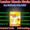 Lumbar Heating Plaster, Indicated for Lumbar Weakness, Numbness and Pain.