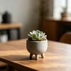 Украшения для цветочных горшков 3D-печать Широкое горло Большой объем Горшок для растений Матовый Тренога Поднятое основание Цветочный горшок для помещений и улицы