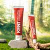 1 Kent Original Toothpaste, 120g Korean Toothpaste
