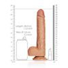 RealRock - Straight realistic dildo with testicles and suction cup 25.5 cm