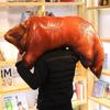 Funny Valentine's Day Pig Trotter Plush Toy Pillow - Cute Gift for Girls, Birthdays & More