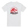 Jurassic Park Mens Vintage T-Shirt