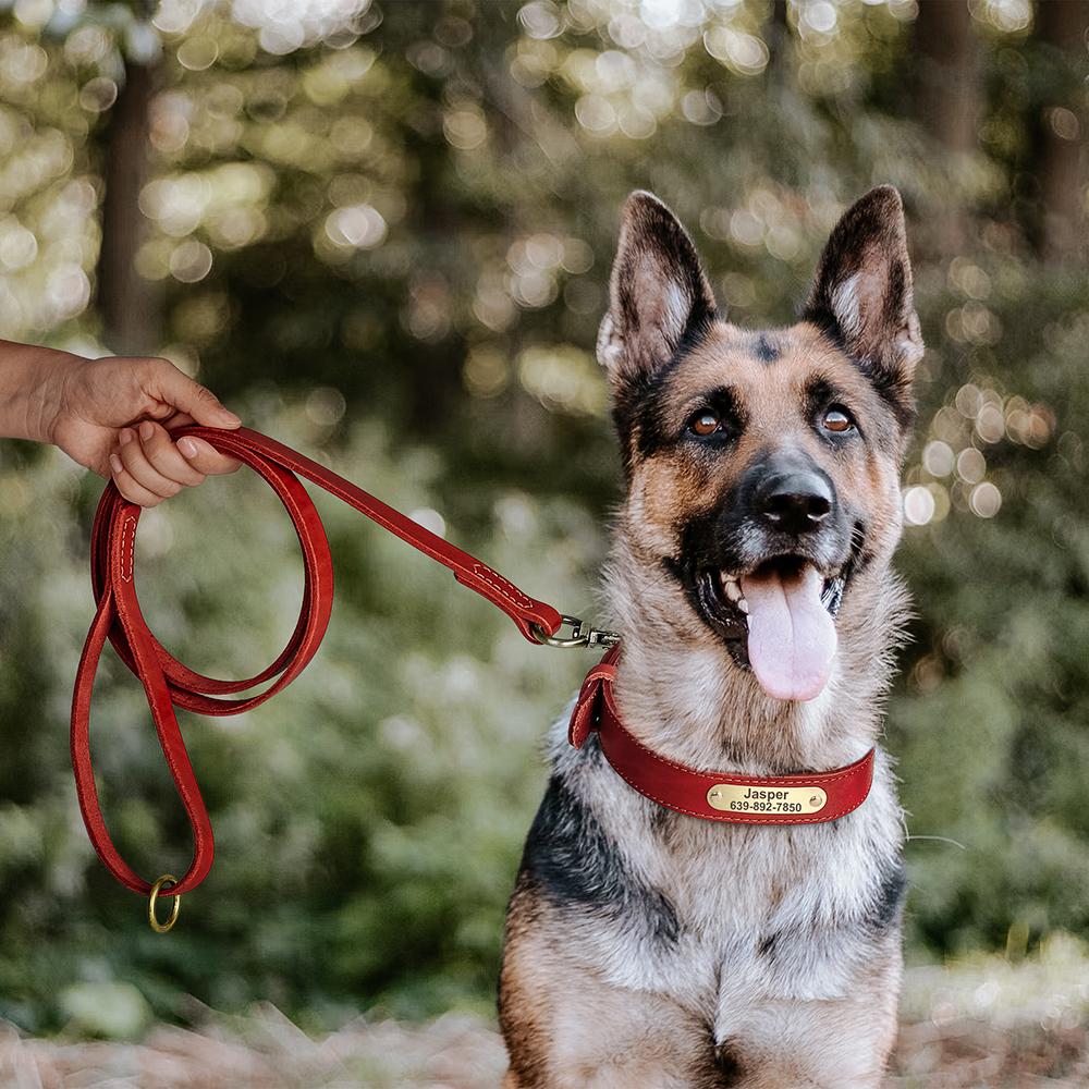 Real Leather Dog Collar Leash Set Personalized Pet Collar With Leash Free Engraving Nameplate For Small Medium Large Dogs