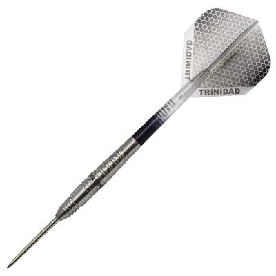 TRiNiDAD PRO Roman3 Steel Trinidad Pro Roman3 Steel Модель игрока Мию Мияваки Стальной дартс баррель Серебристый tdd1064