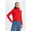 Regular Fit Soft Textured Turtleneck Basic Plain Knitwear Sweater H1651az24wn