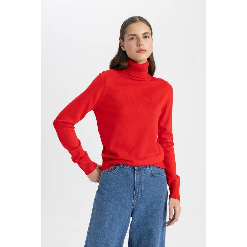 Regular Fit Soft Textured Turtleneck Basic Plain Knitwear Sweater H1651az24wn