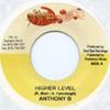 7inch Record ANTHONY B - Higher Level NONE Rashanco Music 2005 Jamaica Reggae, Ska & Dub Used