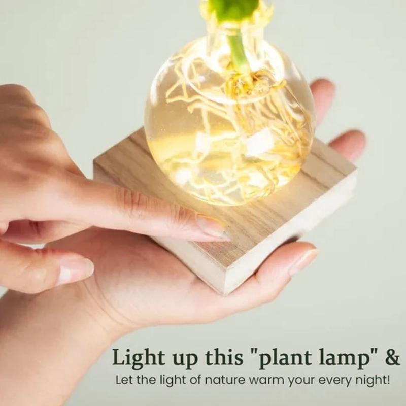 Стеклянные гидропонные вазы с LED-подсветкой для демонстрации роста корней растений и декоративного ночного освещения дома и в офисе