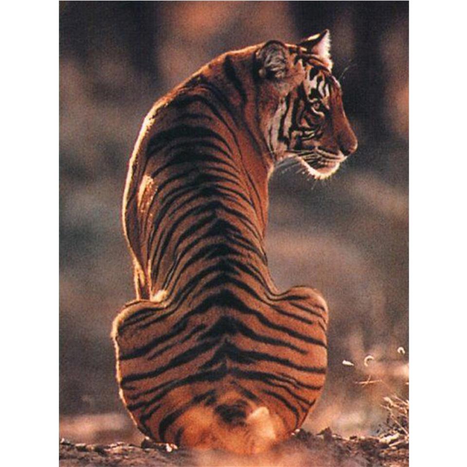 Diamond Painting "Tiger" Animal 5D DIY Full Round Diamond Embroidery Kit Rhinestone Cross Stitch Decoration Mosaic Picture Gift