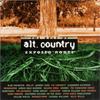 CD РАЗНЫЕ ИСПОЛНИТЕЛИ - Exposed Roots - The Best Of Alt. Co 64282 K-tel 1999 США Рок Б/У