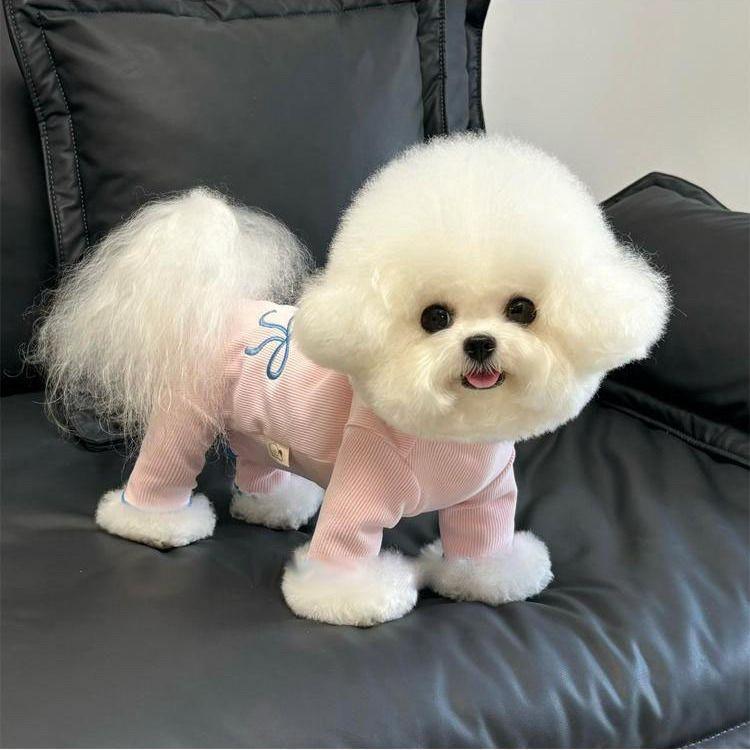Pet Autumn Winter Velvet Embroidered Bow Four Legged Belly Wrap Teddy Belly Protection Home Clothing Pajamas Puppy Clothes