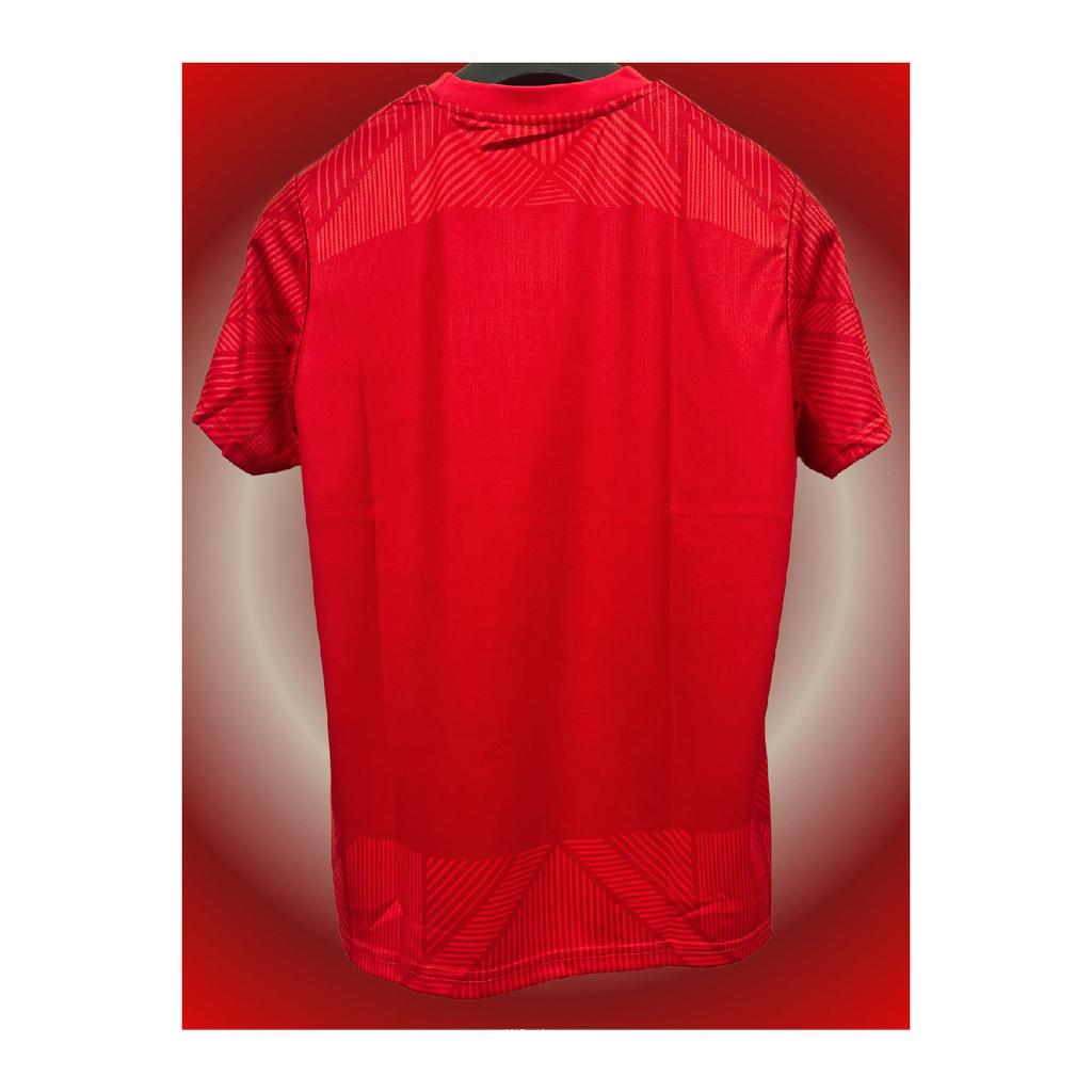 Trkiye Euro 2024 Special Design Red Adult Football Jersey