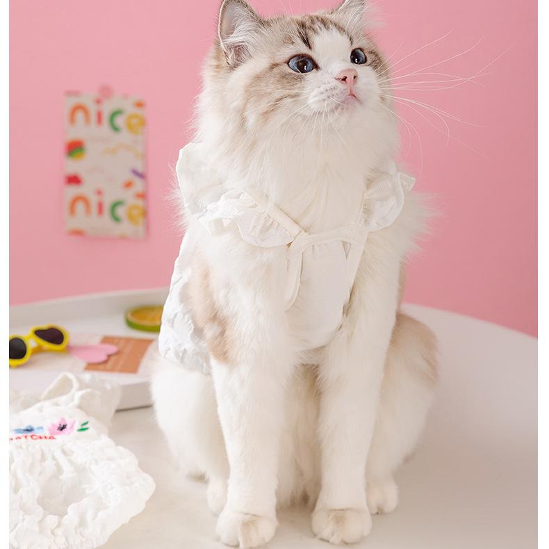 Тюльпан, пузырь, тыква, питомец, весна и лето, тонкие подтяжки, юбка, щенок, котенок, одежда длиной в две ноги.