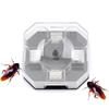 Ловушка для тараканов Инструмент для ловли тараканов Ящик для тараканов Ловушка для тараканов