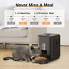 Automatic Pet Feeder 2L Timed Smart Cat Feeder Pet Food Dispenser Programmable Portion Control 1-4 Meals Dry Food for Dogs And Cats