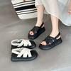 Muffin Platform Sandals Women Wear Soft Soles Summer New Models with Skirts Beach Casual Sandals Tide