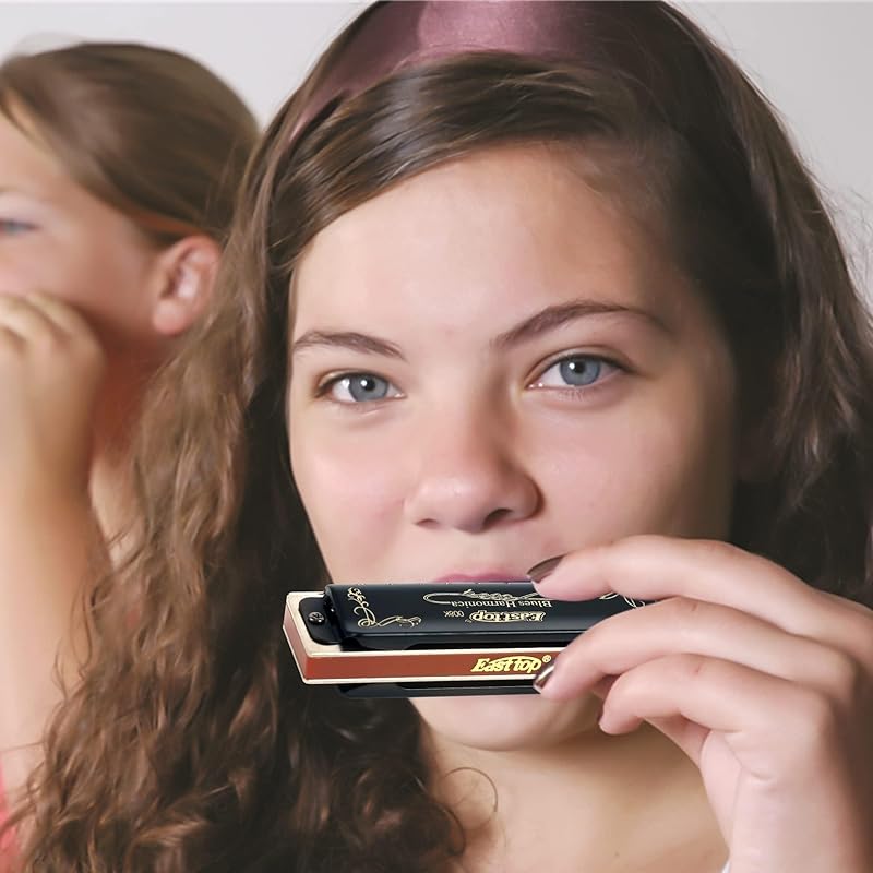 Восточная верхняя губная гармошка блюзовая губная гармошка 10 отверстий тональность E 10 отверстий 20 тонов латунный чехол холщовый чехол чистая ткань начинающий эксперт исследование Для практики