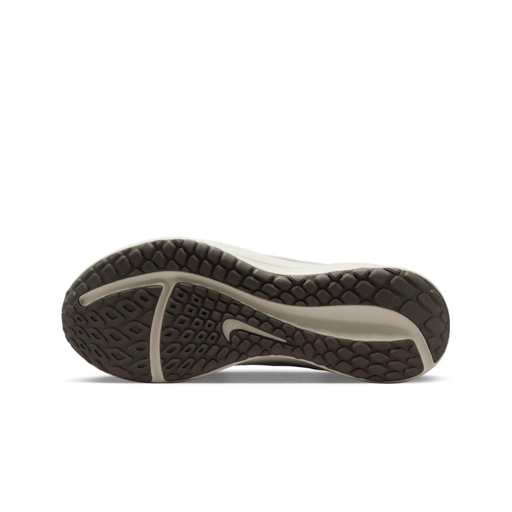 Nike Downshifter 13 Light Silver College Grey Sail White FD6454-013