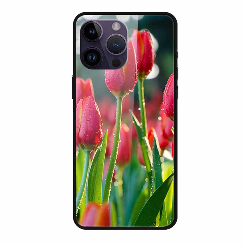 Закаленное Стекло Чехол Для iphone 15 Pro Max Чехол Жесткое Стекло Задняя Крышка Мягкий ТПУ Бампер Для iphone 16 Pro Max Чехол для Телефона 16Pro Max