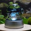 Cute Cartoon  Pikachu Gengar Charizard Crystal Elf Ball Indoor Creative Night Light Decoration Friend's Holiday Gift
