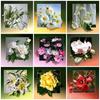 Алмазная картина цветок вышивка крестом ручная работа 5d вышивка продажа полная дрель алмазное искусство