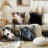 Смешной кот милый сон наволочка Подушка Чехол Декор Комната Дом Диван гостиная Офис Автомобиль Скандинавская Простота