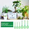 Plant Watering Bulbs,Plastic Automatic Self-Watering Globes Drip Irrigation