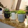 1 PC Colorful Planter Home Decor Hanging Flowerpot Double-layer Garden Pot Plants Holder