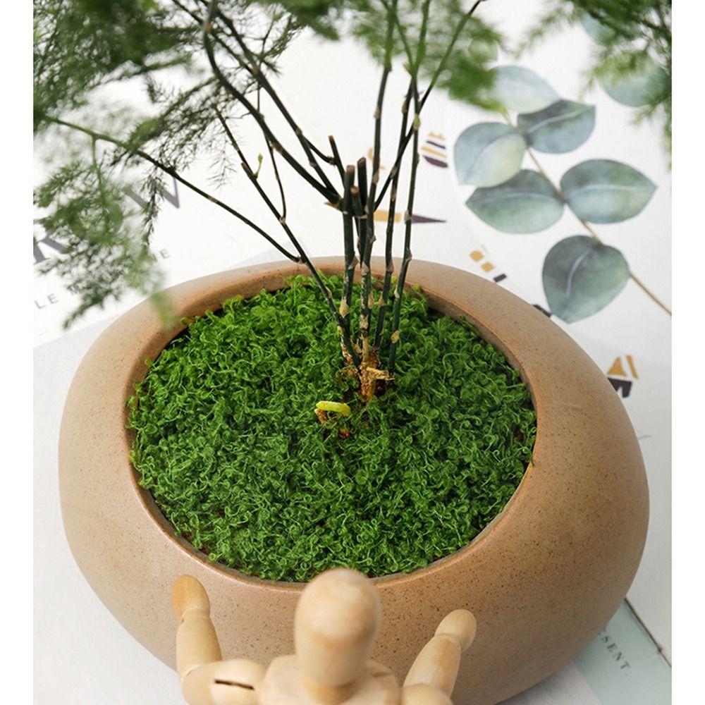 1 комплект украшений Микроландшафт Имитация мха для горшечных растений Искусственная трава Искусственный зеленый мох