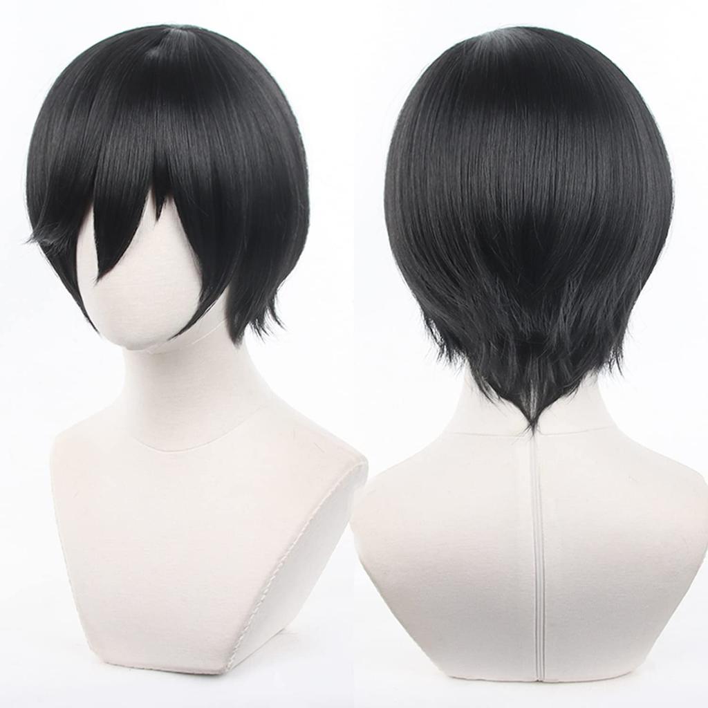 LVMEY Anime Character Cosplay Costume Wig for Comic Market Cultural and School Festivals Wig, Accessory, Disguise, Heat-Resistant Events, Halloween,