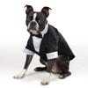 Dog Tuxedo Suit Costume Pet Cat Dog Wedding Birthday Party Formal Shirt with Bow Tie for Puppy Small Medium Dogs Costume