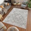 Washable Printed Carpet RVG0726