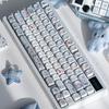 Экстремальные Милые Ледяные Круизные Колпачки Клавиш Cherry Soa Высокие PBT Сублимация Индивидуальные Синие Милые Колпачки Клавиш Aula75