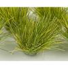 PLATZ Diorama Material Series: Grass Tract, 9mm Height (Greenish-Brown, 26 Seeds) Diorama Material MDB-9